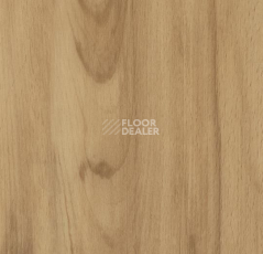Кварцвиниловые полы Forbo Allura Flex Wood 60026FL1-60026FL5 classic beech фото 1 | FLOORDEALER